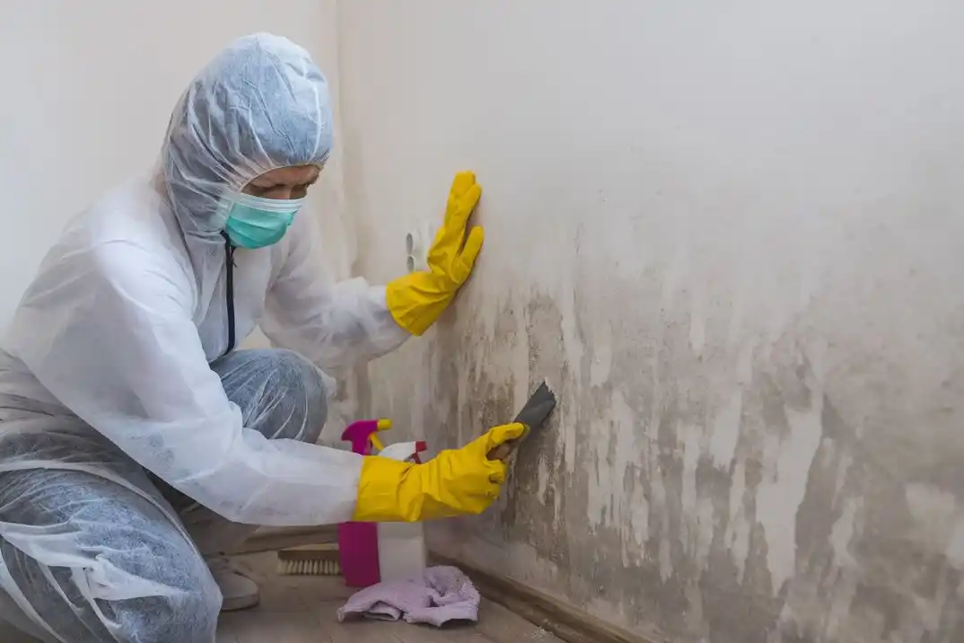 water damage restoration service Southern Hills